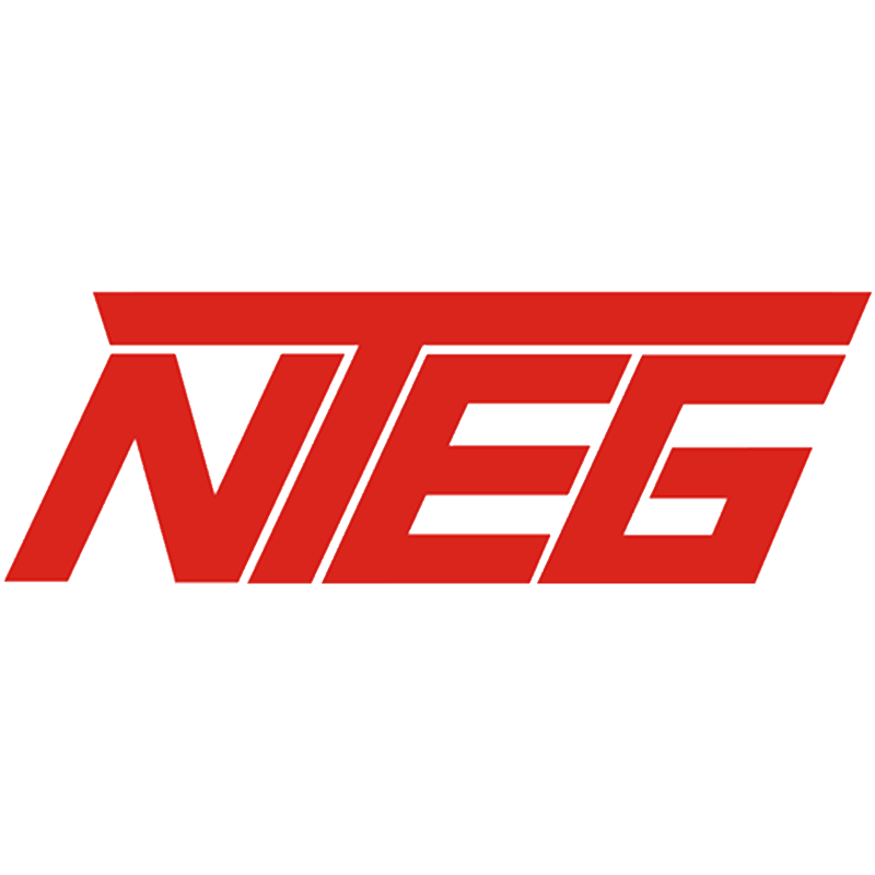 NTEG LTD